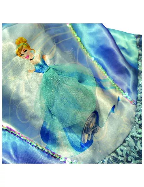 Photo du produit Déguisement Princesse Ballerine Cendrillon fille