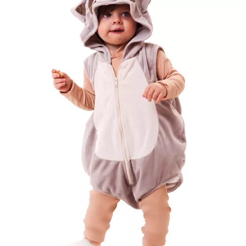 Photo du produit Déguisement raton laveur bébé