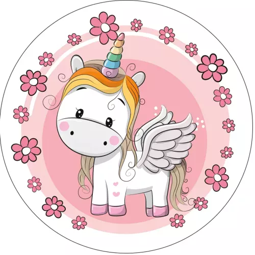 Photo du produit Disque en azyme jolie licorne 21 cm aléatoire