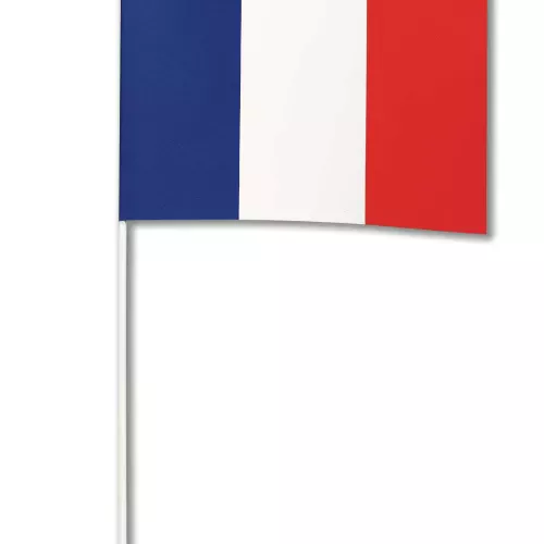 Photo du produit Drapeau papier France 14 x 21 cm