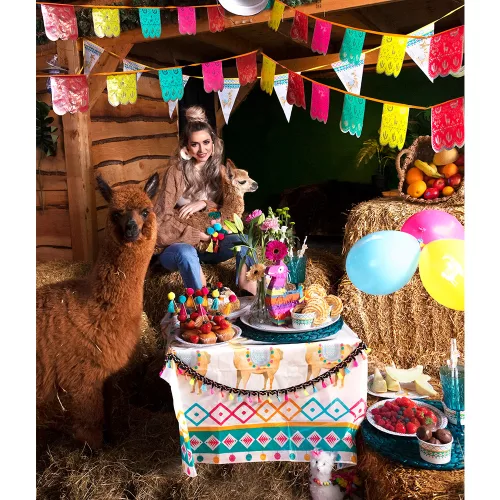 Photo du produit Guirlande en plastique mexicaine multicolore 14,5 x 16 cm 6 m