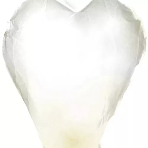 Photo du produit Lanterne volante géante c?ur blanc 95 cm