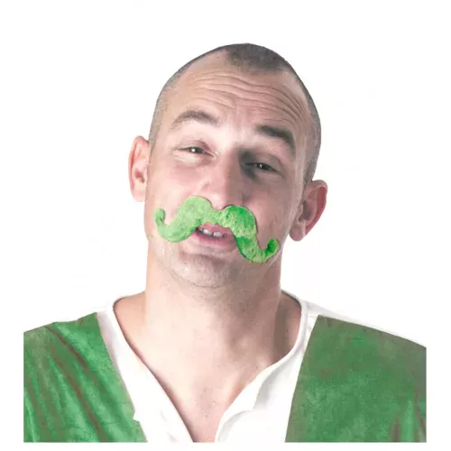 Photo du produit Moustache st pat' verte adulte