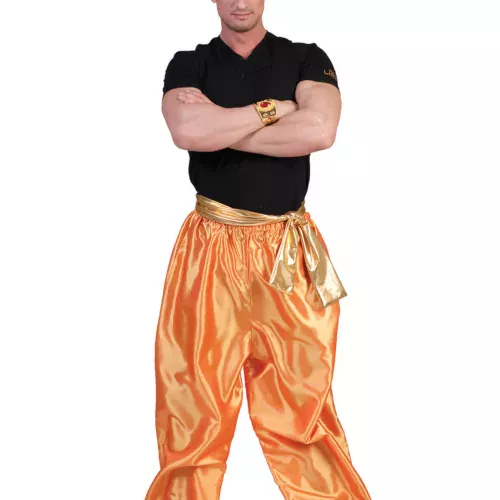 Photo du produit Pantalon doré danseur homme