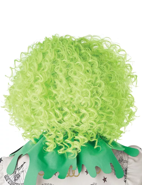 Photo du produit Perruque clown verte adulte