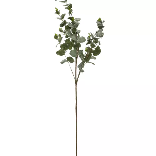 Photo du produit Branche d'eucalyptus 98 cm