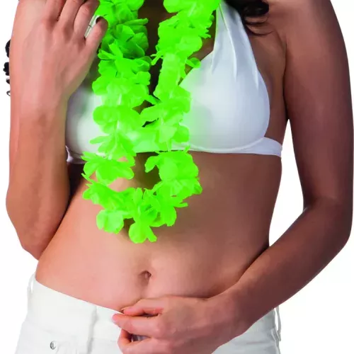 Photo du produit Collier hawaï vert