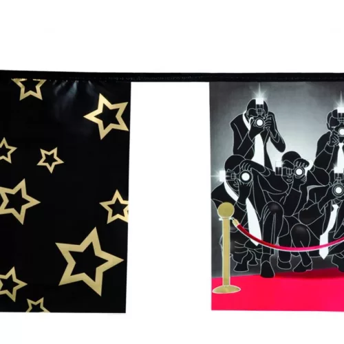 Photo du produit Guirlande fanions papier VIP 6 m