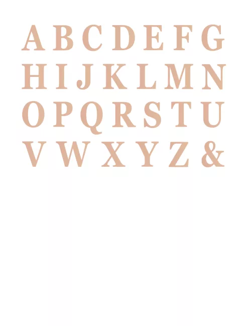 Photo du produit 48 Lettres adhésives rose gold 13,5 cm