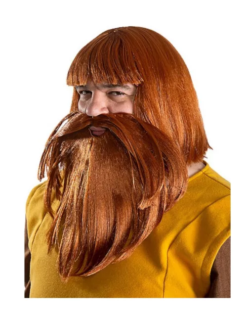 Photo du produit Perruque et barbe Halvar Vic le Viking homme