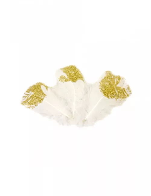 Photo du produit 25 Plumes pailletées blanches et dorées 7,5 cm