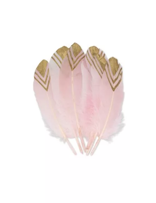 Photo du produit 6 Plumes ethnique roses et or 18-20 cm