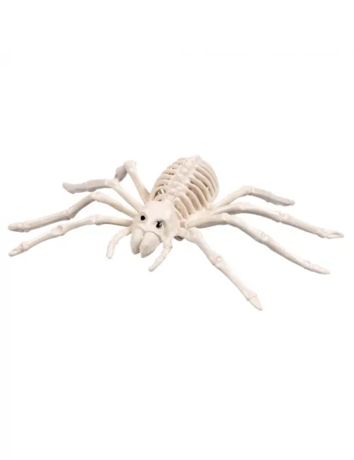 Photo du produit Araignée squelette 35 cm