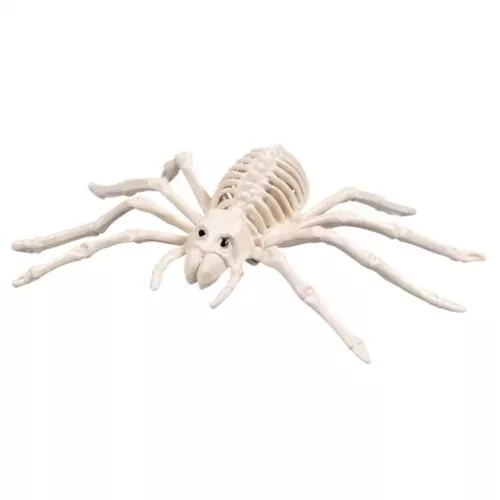 Photo du produit Araignée squelette 35 cm