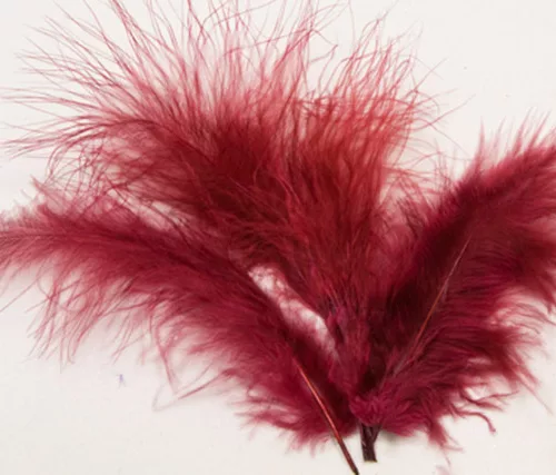 Photo du produit 20 plumes de décoration bordeaux