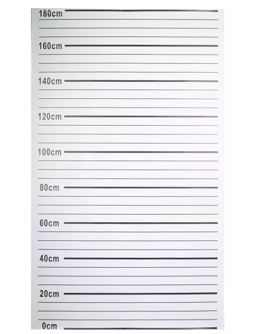 Photo du produit Toile de police arrestation 180 x 110 cm
