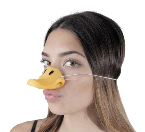 BEC CANARD