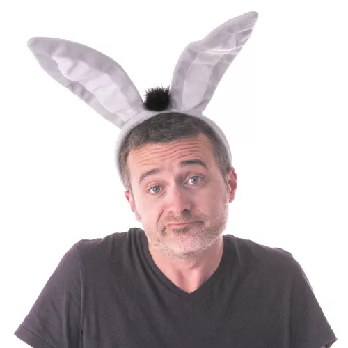 SERRE TÊTE ÂNE VELOURS – Image 2