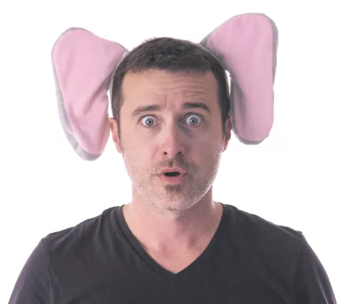 SERRE TÊTE ELEPHANT VELOURS – Image 2