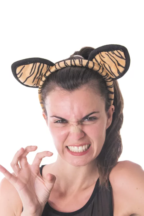 SERRE TÊTE TIGRE VELOURS – Image 2