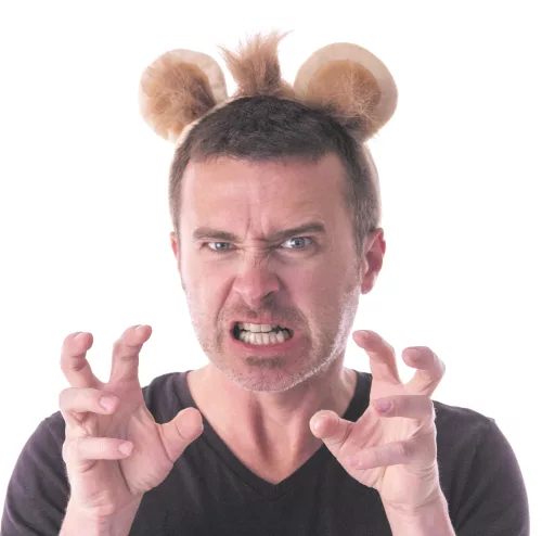 SERRE TÊTE LION VELOURS