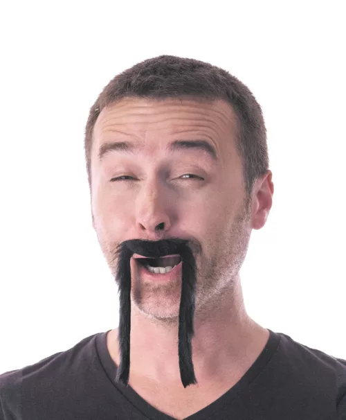 MOUSTACHE CHINOISE NOIRE – Image 2