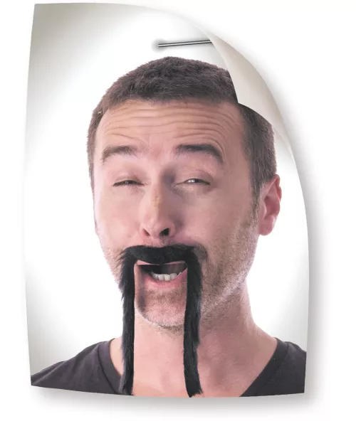 MOUSTACHE CHINOISE NOIRE – Image 3