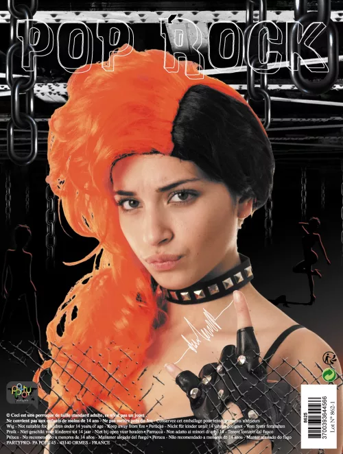 PERRUQUE POP ROCK – Image 2