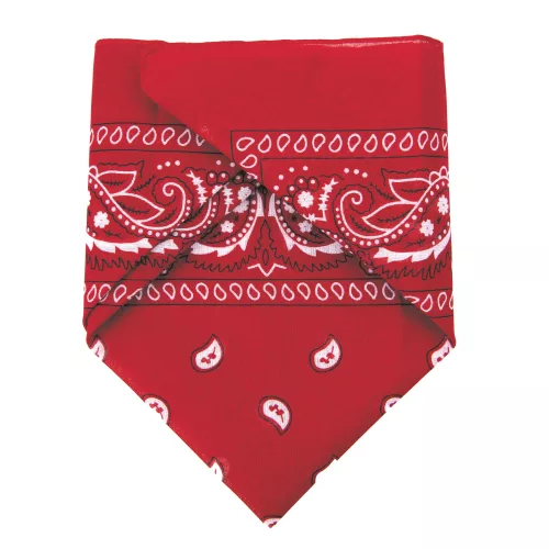 BANDANA ROUGE – Image 3