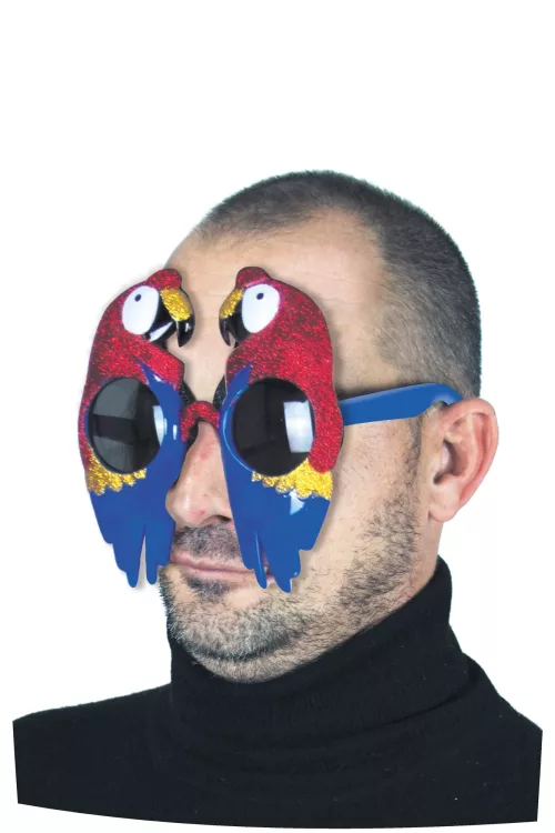 LUNETTES PERROQUET – Image 2
