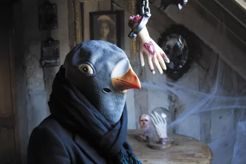 MASQUE DE PIGEON – Image 2