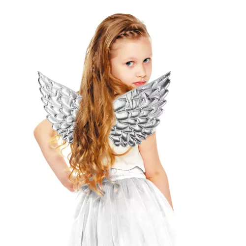 AILES FANTASTIQUES ARGENTEES – Image 2