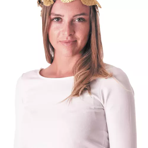 COURONNE LAURIER DOREE