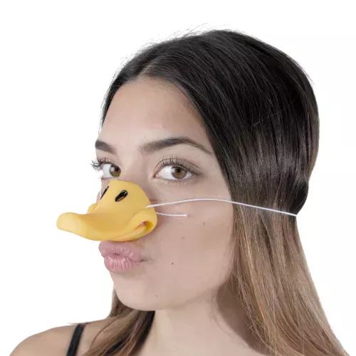 BEC CANARD