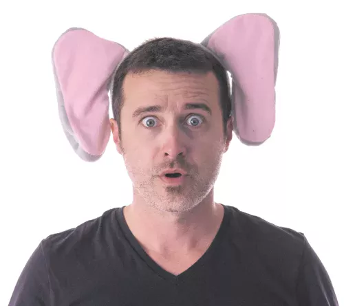 SERRE TÊTE ELEPHANT VELOURS – Image 2