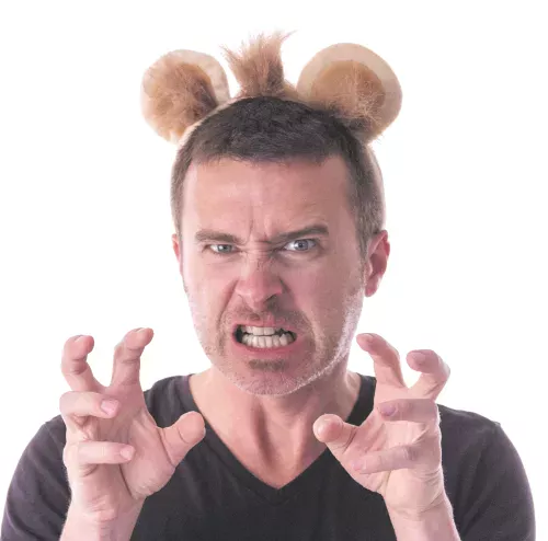 SERRE TÊTE LION VELOURS