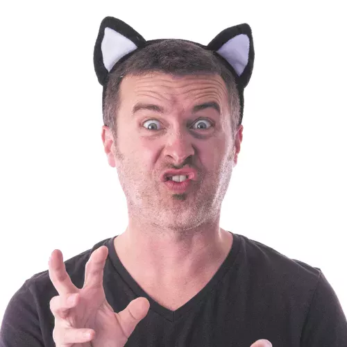 SERRE TÊTE CHAT BLANC ET NOIR VELOURS