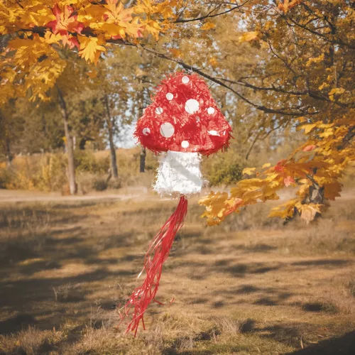 PINATA CHAMPI WOODLAND – Image 2
