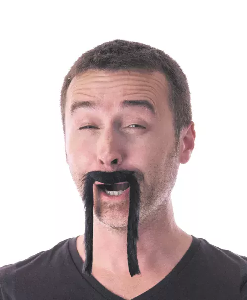 MOUSTACHE CHINOISE NOIRE – Image 2