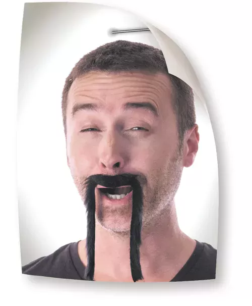 MOUSTACHE CHINOISE NOIRE – Image 3