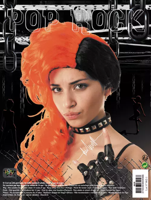 PERRUQUE POP ROCK – Image 2