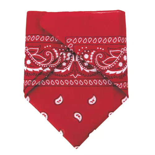BANDANA ROUGE – Image 3