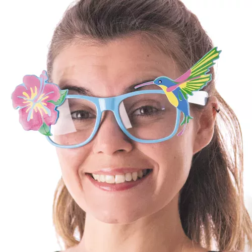 LUNETTES HIBISCUS