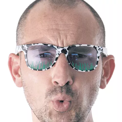 LUNETTES VACHE