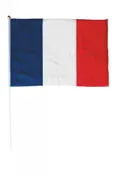DRAPEAUX FRANCE 30X45CM