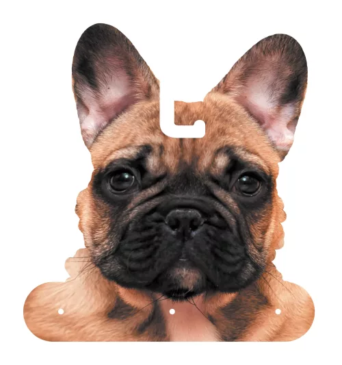 COSTUME SUPER HEROS POUR CHIEN – Image 2