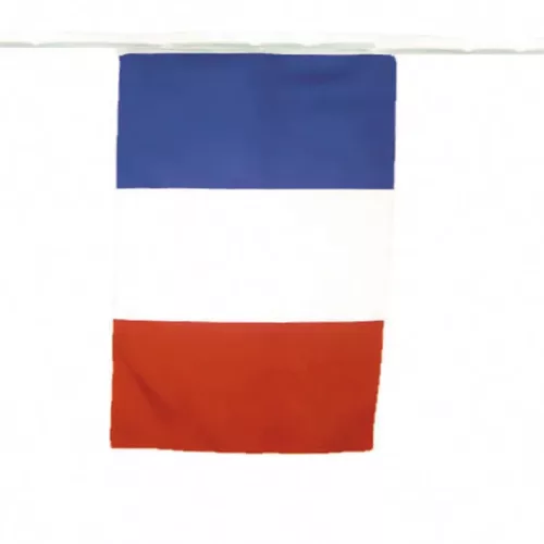 GUIRLANDE DRAPEAUX TRICOLORE 10M