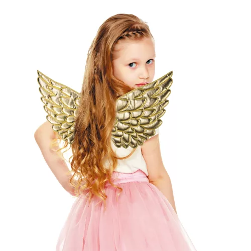 AILES FANTASTIQUES DOREES – Image 2