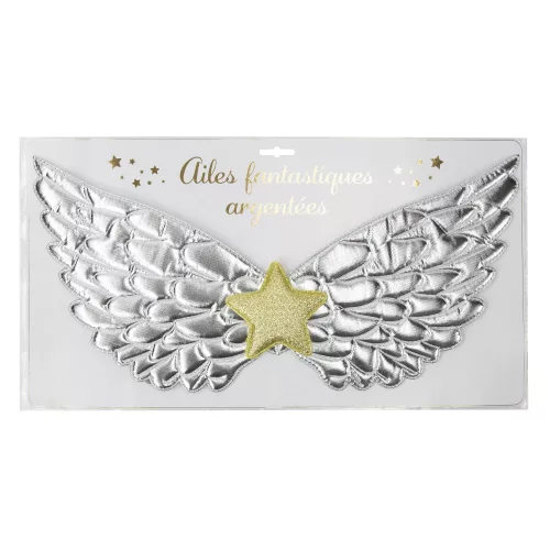 AILES FANTASTIQUES ARGENTEES – Image 3