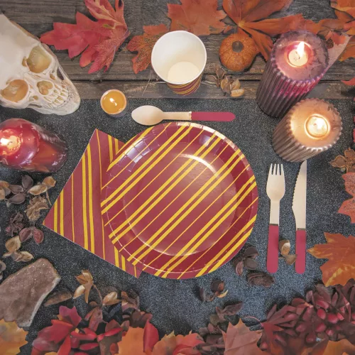 ASSIETTES RAYEES X 8 – Image 2